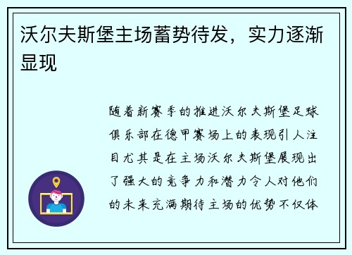 沃尔夫斯堡主场蓄势待发，实力逐渐显现