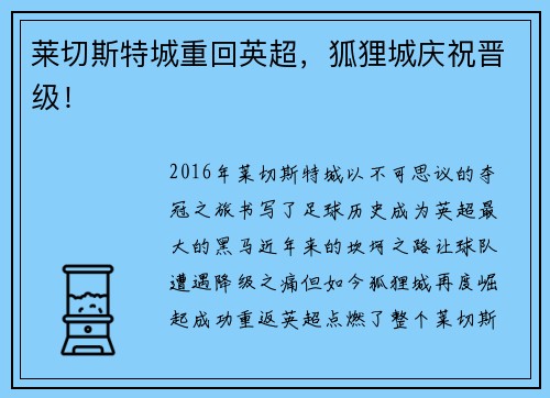 莱切斯特城重回英超，狐狸城庆祝晋级！